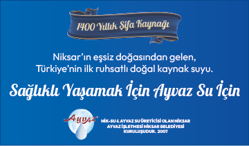 Niksar Ayvaz Su