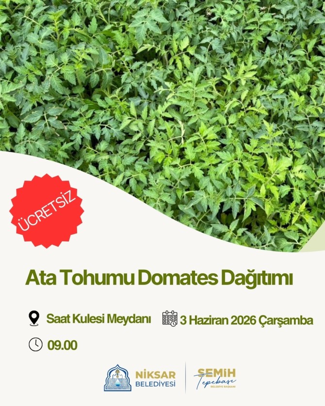 Niksar Belediyesi olarak, belediyemiz seralarında özenle yetiştirdiğimiz ata tohumu domates fidelerini vatandaşlarımıza ücretsiz olarak dağıtıyoruz
